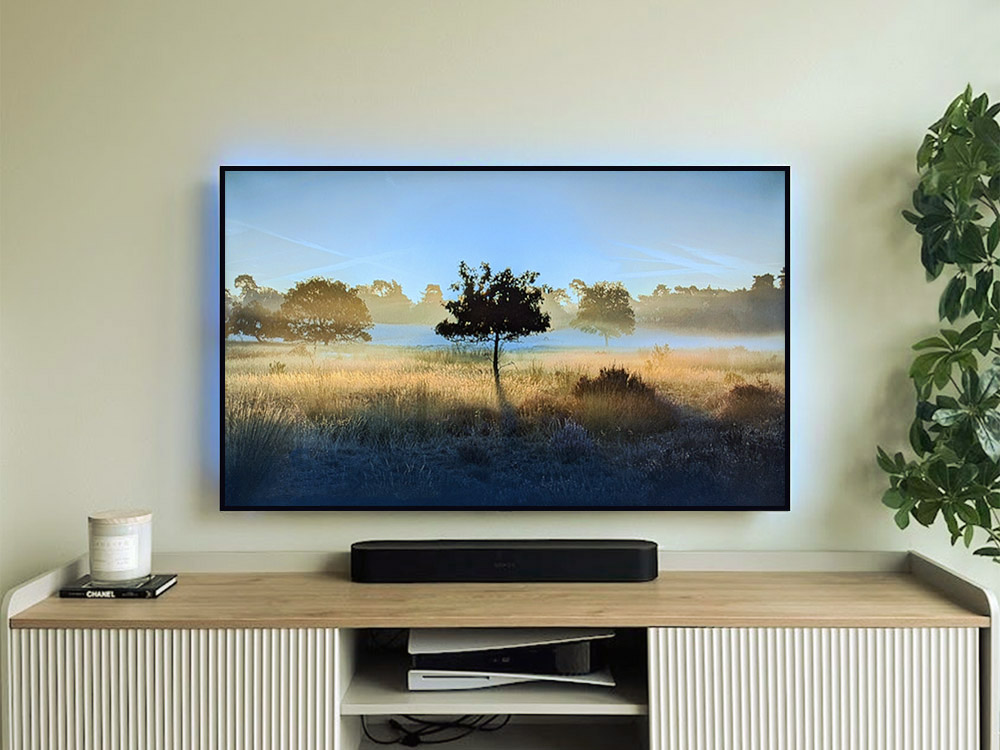 Wall Mounted TV